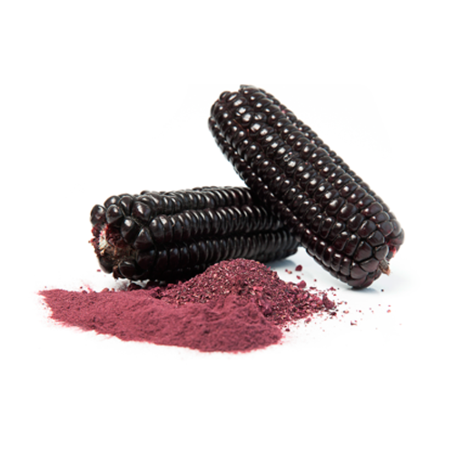 Maiz morado